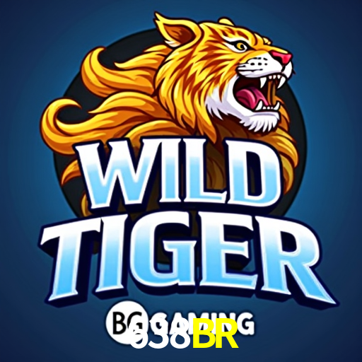638BR